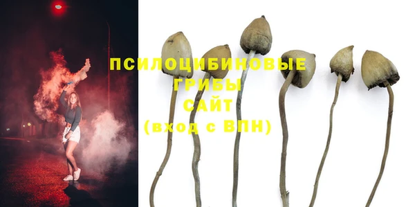дурь Армянск