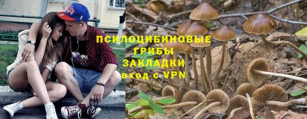 дурь Армянск