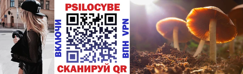 mega вход  Щёкино  Галлюциногенные грибы MAGIC MUSHROOMS 